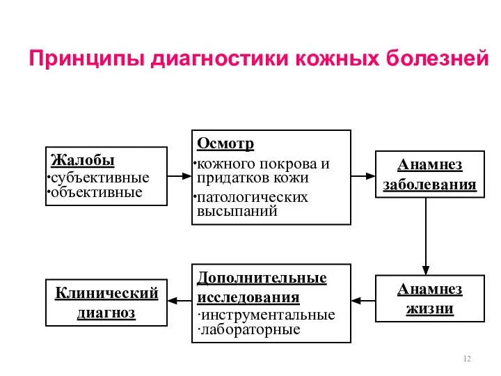 Принципы диагностики кожных болезней Жалобы субъективные объективные Осмотр кожного покрова и