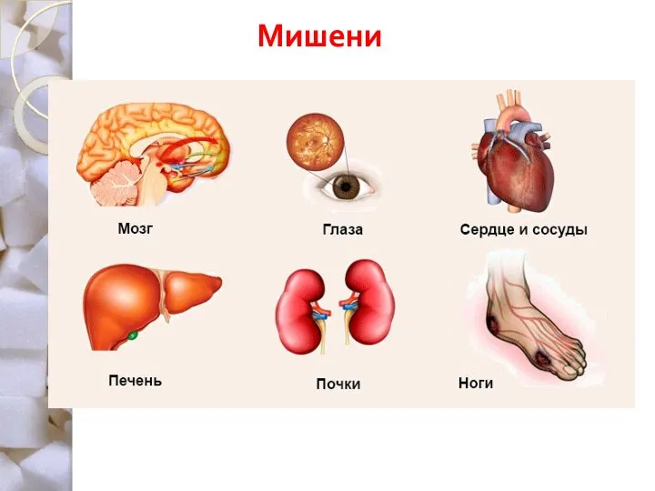 Мишени