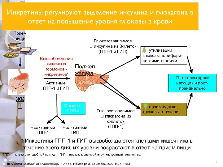 ГПП-1 = глюкагоноподобный пептид-1; ГИП = глюкозозависимый инсулинотропный полипептид Прием пищи