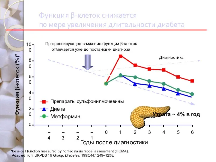 Функция β-клеток снижается по мере увеличения длительности диабета 0 20 40