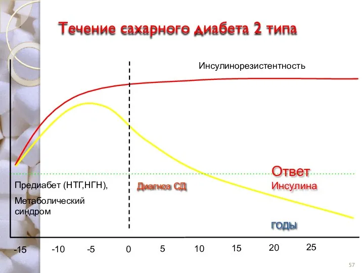 Течение сахарного диабета 2 типа ГОДЫ Ответ Инсулина Инсулинорезистентность Диагноз СД