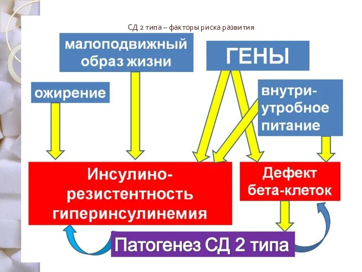 СД 2 типа – факторы риска развития