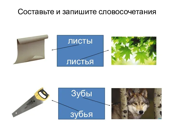 Составьте и запишите словосочетания листы листья Зубы зубья