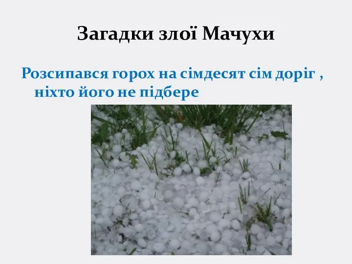 Загадки злої Мачухи Розсипався горох на сімдесят сім доріг , ніхто його не підбере