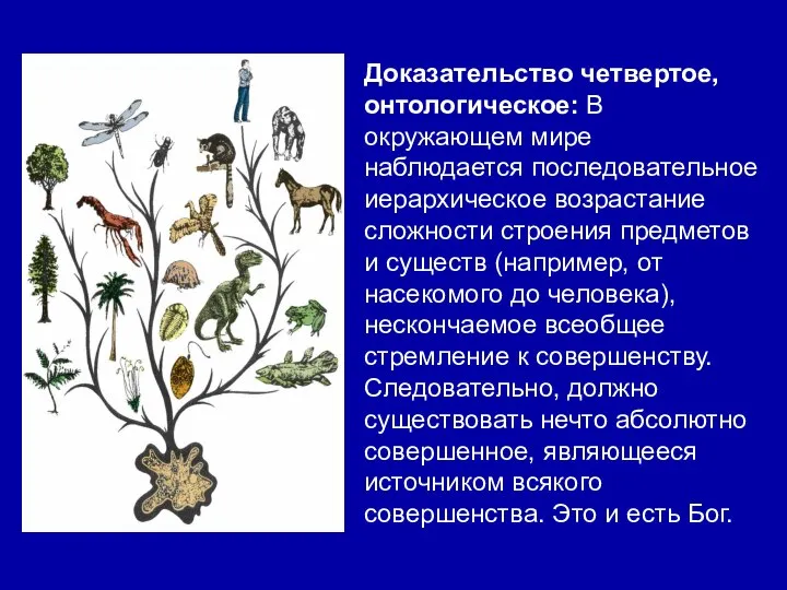 Доказательство четвертое, онтологическое: В окружающем мире наблюдается последовательное иерархическое возрастание сложности