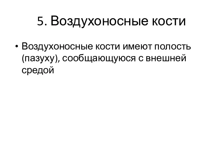 5. Воздухоносные кости Воздухоносные кости имеют полость (пазуху), сообщающуюся с внешней средой