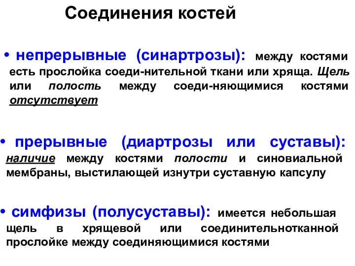 Соединения костей симфизы (полусуставы): имеется небольшая щель в хрящевой или соединительнотканной