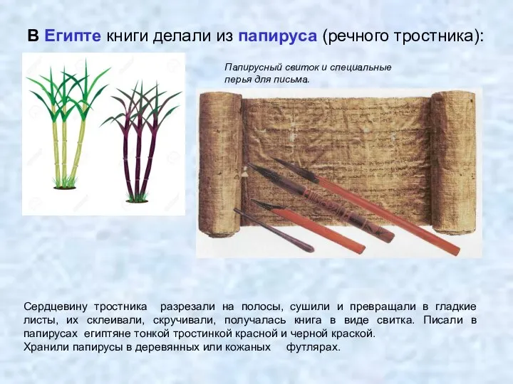 Папирусный свиток и специальные перья для письма. В Египте книги делали