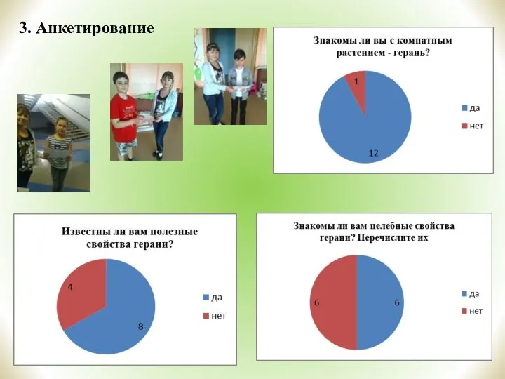 3. Анкетирование