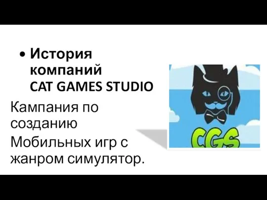 История компаний CAT GAMES STUDIO Кампания по созданию Мобильных игр с жанром симулятор.