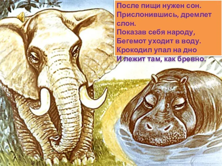 После пищи нужен сон. Прислонившись, дремлет слон. Показав себя народу, Бегемот