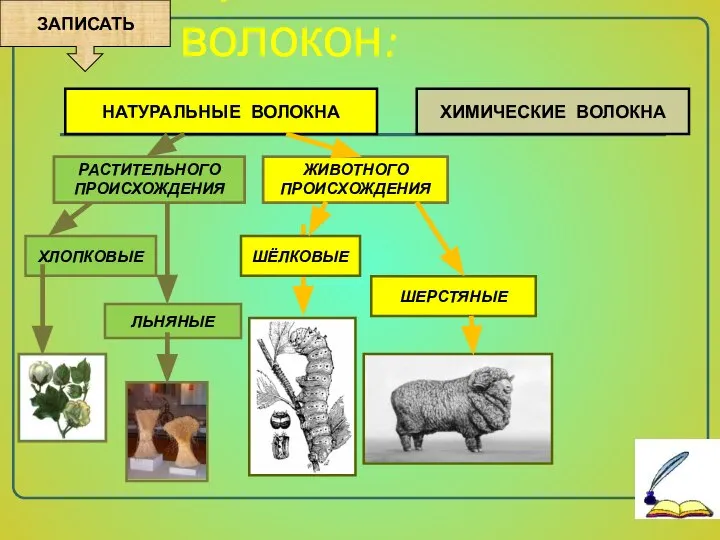 Происхождение волокон: ХИМИЧЕСКИЕ ВОЛОКНА НАТУРАЛЬНЫЕ ВОЛОКНА ЗАПИСАТЬ