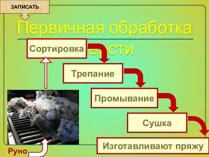 Первичная обработка шерсти Сортировка Трепание Промывание Сушка . Руно Изготавливают пряжу ЗАПИСАТЬ