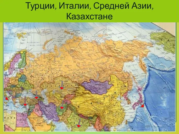 Шелководство развито в Японии, Индии, Турции, Италии, Средней Азии, Казахстане