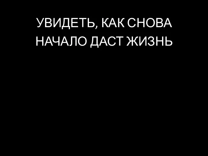 УВИДЕТЬ, КАК СНОВА НАЧАЛО ДАСТ ЖИЗНЬ