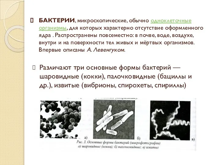 БАКТЕРИИ, микроскопические, обычно одноклеточные организмы, для которых характерно отсутствие оформленного ядра