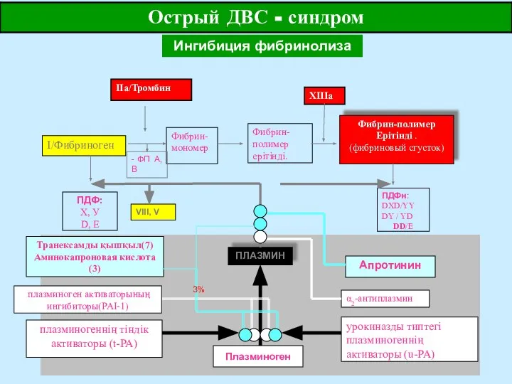 урокиназды типтегі плазминогеннің активаторы (u-PA) плазминогеннің тіндік активаторы (t-PA) Плазминоген плазминоген