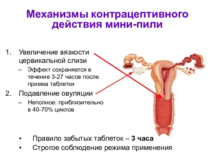 Механизмы контрацептивного действия мини-пили Правило забытых таблеток – 3 часа Строгое