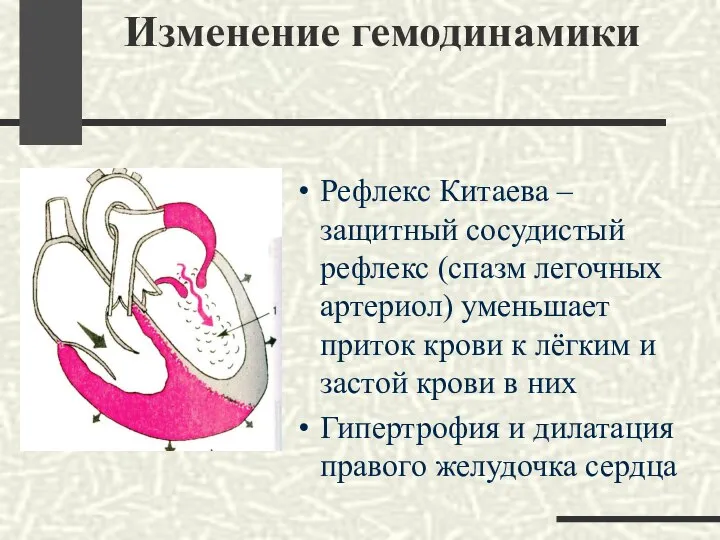 Изменение гемодинамики Рефлекс Китаева – защитный сосудистый рефлекс (спазм легочных артериол)