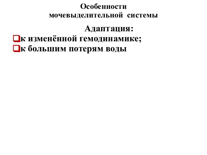 Особенности мочевыделительной системы Адаптация: к изменённой гемодинамике; к большим потерям воды