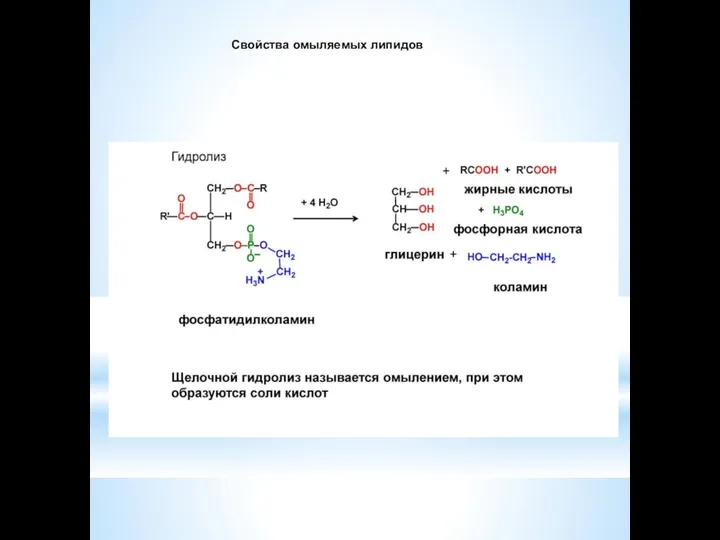 Свойства омыляемых липидов