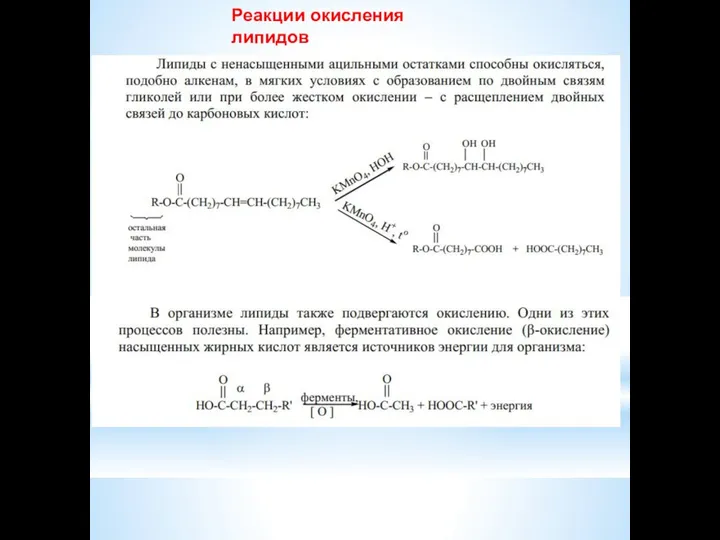 Реакции окисления липидов