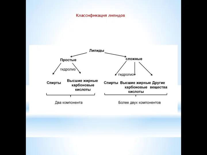 Классификация липидов