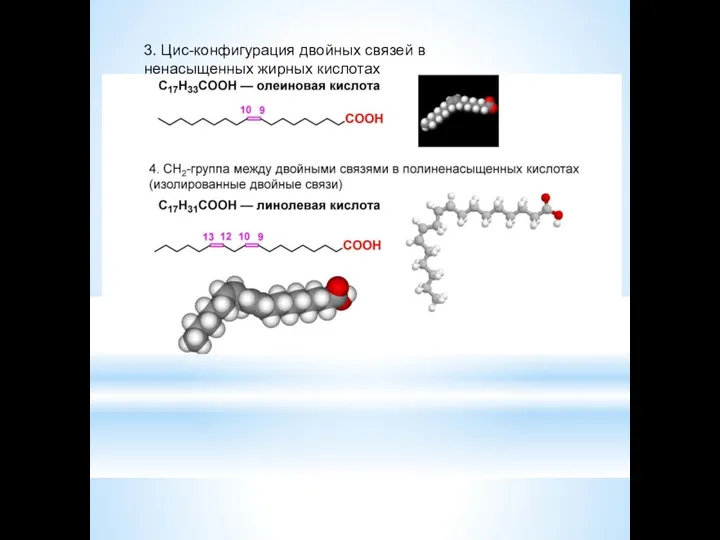 3. Цис-конфигурация двойных связей в ненасыщенных жирных кислотах