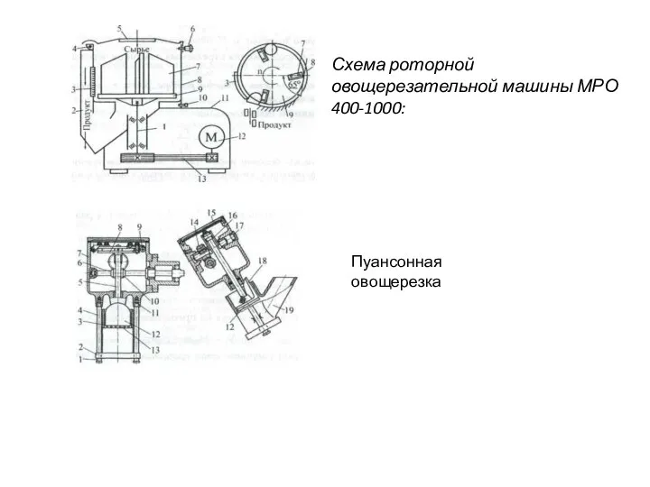 Схема роторной овощерезательной машины МРО 400-1000: Пуансонная овощерезка