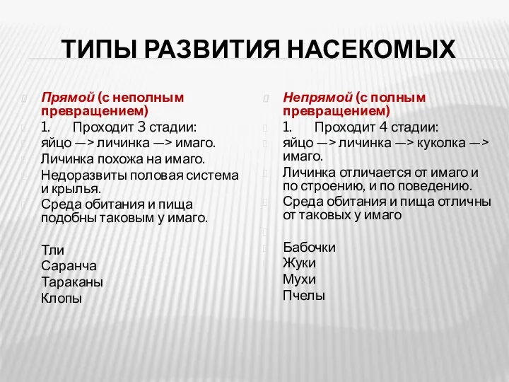 ТИПЫ РАЗВИТИЯ НАСЕКОМЫХ Прямой (с неполным превращением) 1. Проходит 3 стадии: