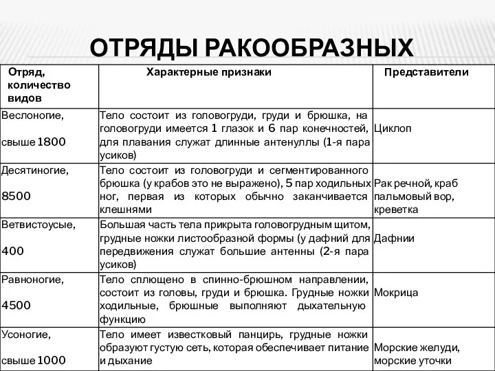 ОТРЯДЫ РАКООБРАЗНЫХ