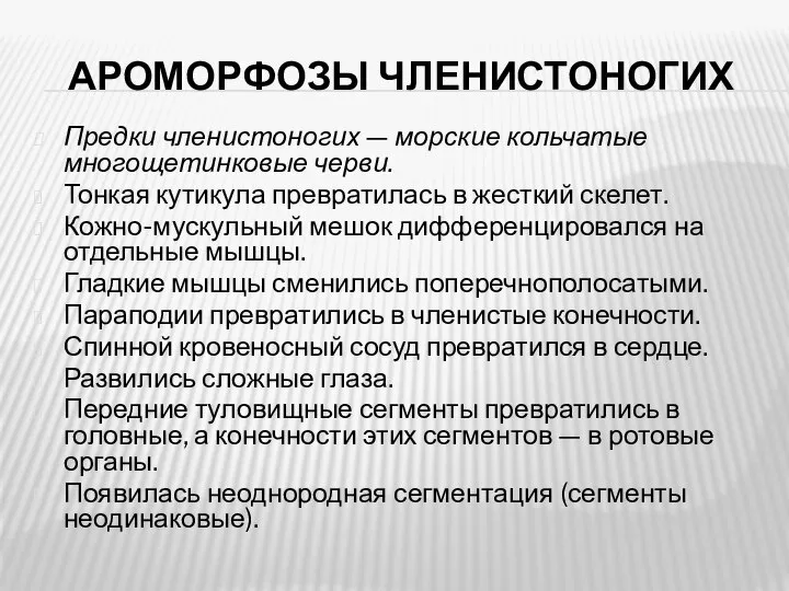 АРОМОРФОЗЫ ЧЛЕНИСТОНОГИХ Предки членистоногих — морские кольчатые многощетинковые черви. Тонкая кутикула