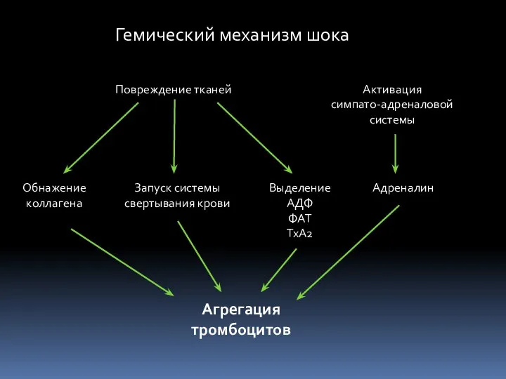 Агрегация тромбоцитов Повреждение тканей Обнажение коллагена Запуск системы свертывания крови Выделение