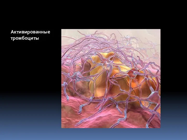 Активированные тромбоциты