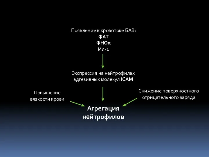 Агрегация нейтрофилов Появление в кровотоке БАВ: ФАТ ФНОα Ил-1 Экспрессия на