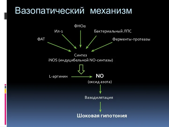 ФАТ Ил-1 ФНОα Бактериальный ЛПС Синтез iNOS (индуцибельной NO-синтазы) L-аргинин NO