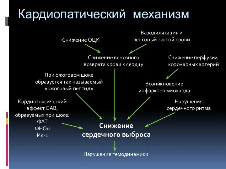 Снижение сердечного выброса Кардиопатический механизм Нарушение гемодинамики Кардиотоксический эффект БАВ, образуемых