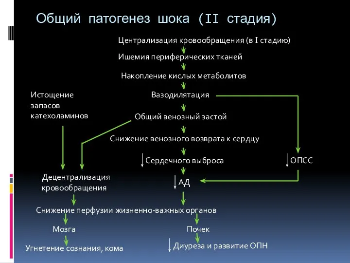 Общий патогенез шока (II стадия) Вазодилятация Децентрализация кровообращения Истощение запасов катехоламинов