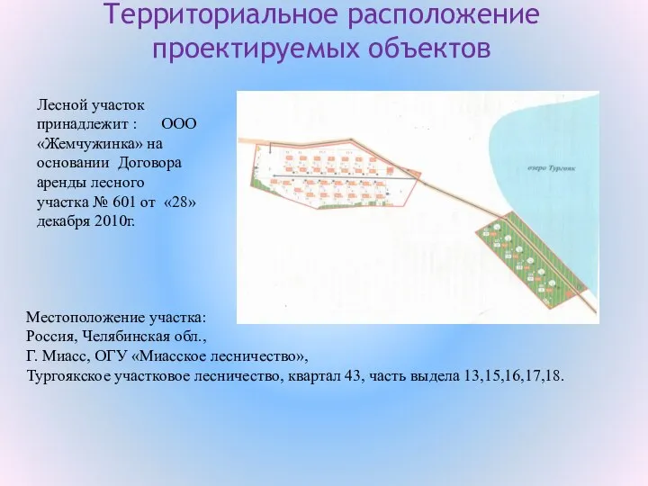 Территориальное расположение проектируемых объектов Лесной участок принадлежит : ООО «Жемчужинка» на