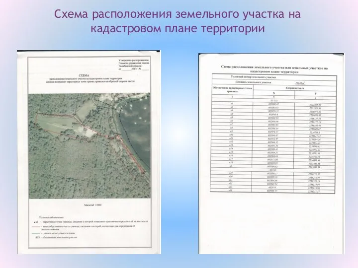 Схема расположения земельного участка на кадастровом плане территории