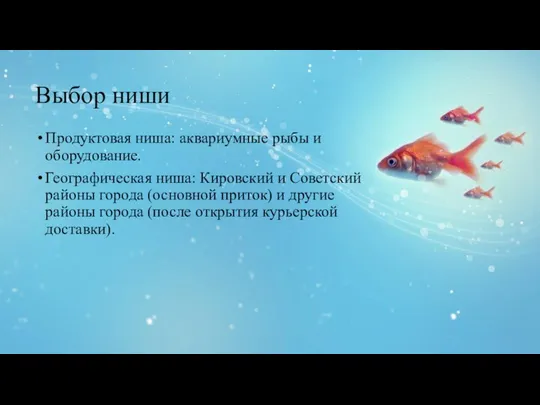 Выбор ниши Продуктовая ниша: аквариумные рыбы и оборудование. Географическая ниша: Кировский