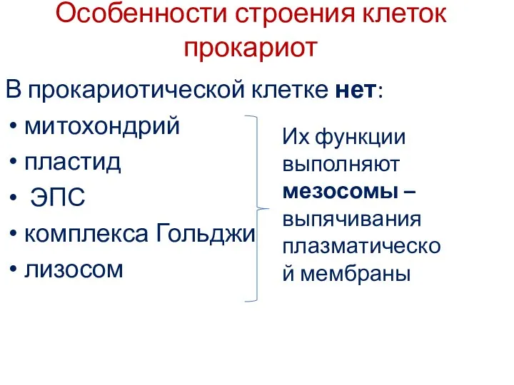 В прокариотической клетке нет: митохондрий пластид ЭПС комплекса Гольджи лизосом Особенности