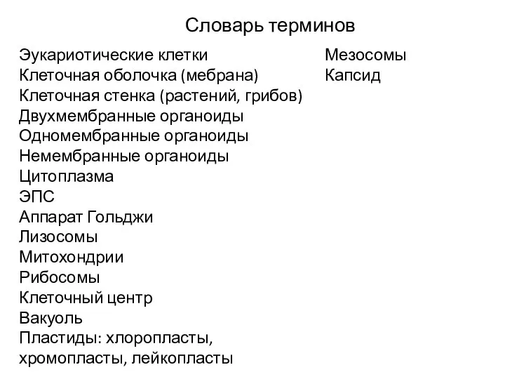 Словарь терминов Эукариотические клетки Клеточная оболочка (мебрана) Клеточная стенка (растений, грибов)