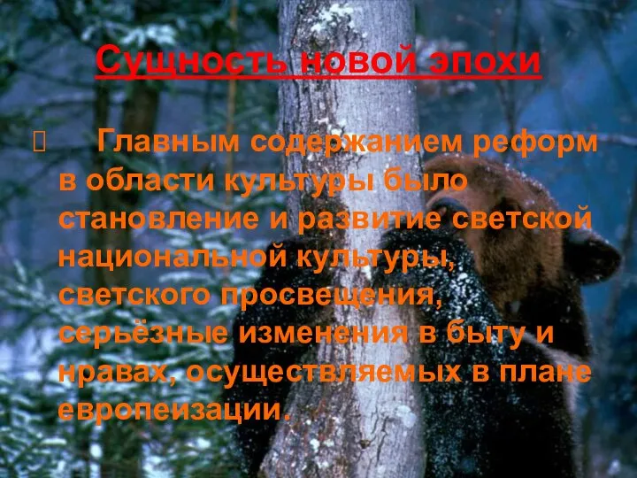 Сущность новой эпохи Главным содержанием реформ в области культуры было становление