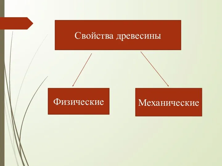 Свойства древесины Физические Механические