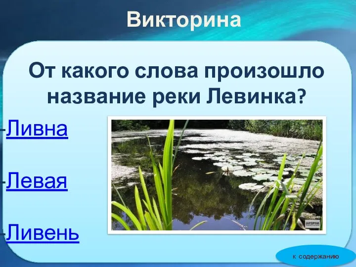 Обращение к читателям От какого слова произошло название реки Левинка? Ливна Левая Ливень Викторина к содержанию