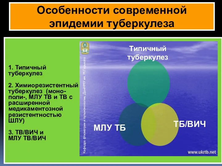 Особенности современной эпидемии туберкулеза 1. Типичный туберкулез 2. Химиорезистентный туберкулез (моно-