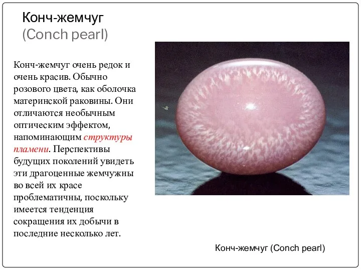 Конч-жемчуг (Conch pearl) Конч-жемчуг очень редок и очень красив. Обычно розового