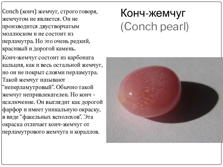 Конч-жемчуг (Conch pearl) Conch (конч) жемчуг, строго говоря, жемчугом не является.