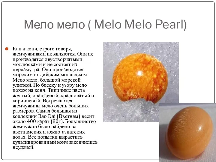 Мело мело ( Melo Melo Pearl) Как и конч, строго говоря,